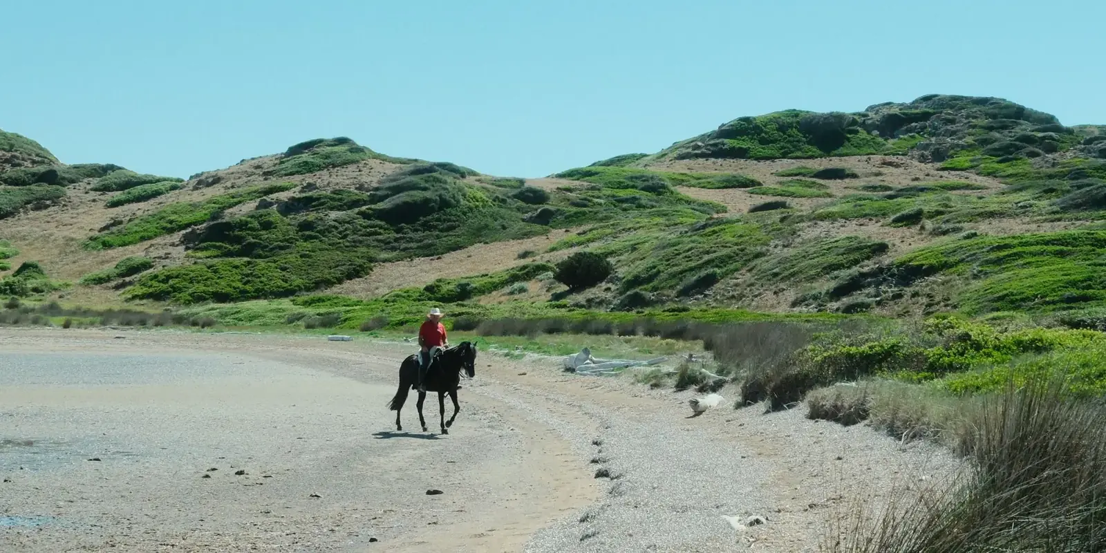 Un cavaliere lungo una pista sterrata tra colline verdi vicino al mare