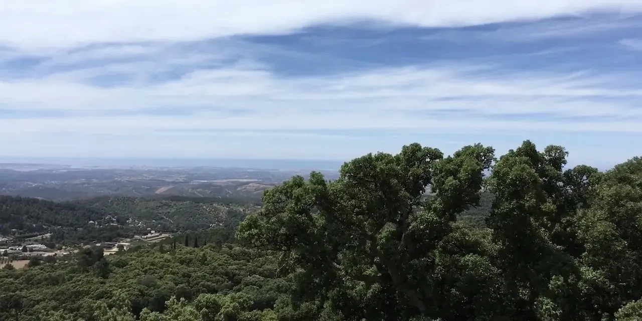 Le colline verdi della Serra de Monchique viste dalla Fóia, la costa lontana all'orizzonte