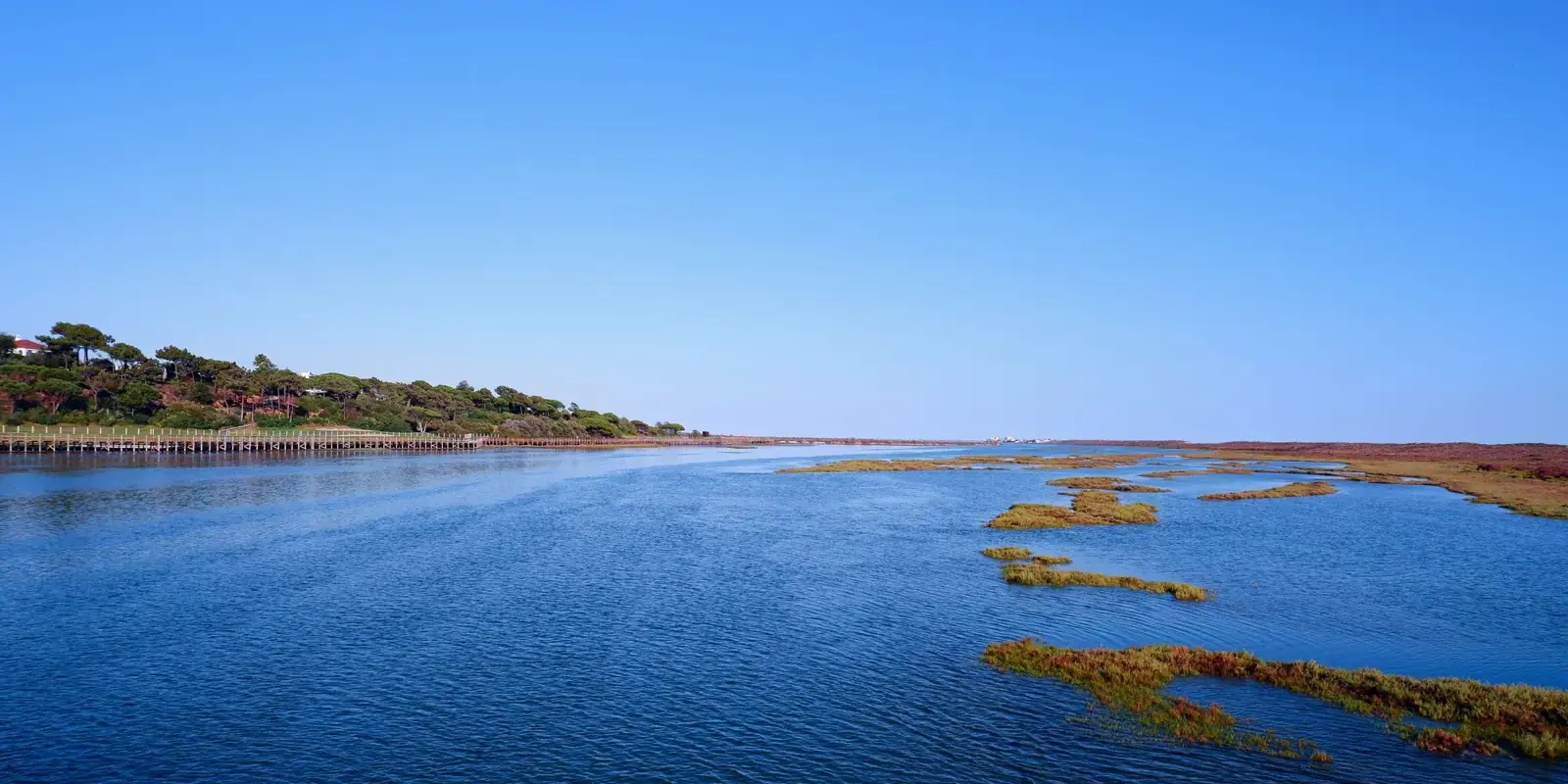 Le acque blu e i banchi di sabbia e alghe della Ria Formosa presso Faro