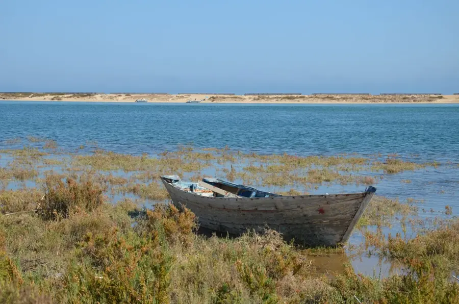 Una vecchia barca di legno tra la vegetazione sulla riva della laguna, le dune sullo sfondo