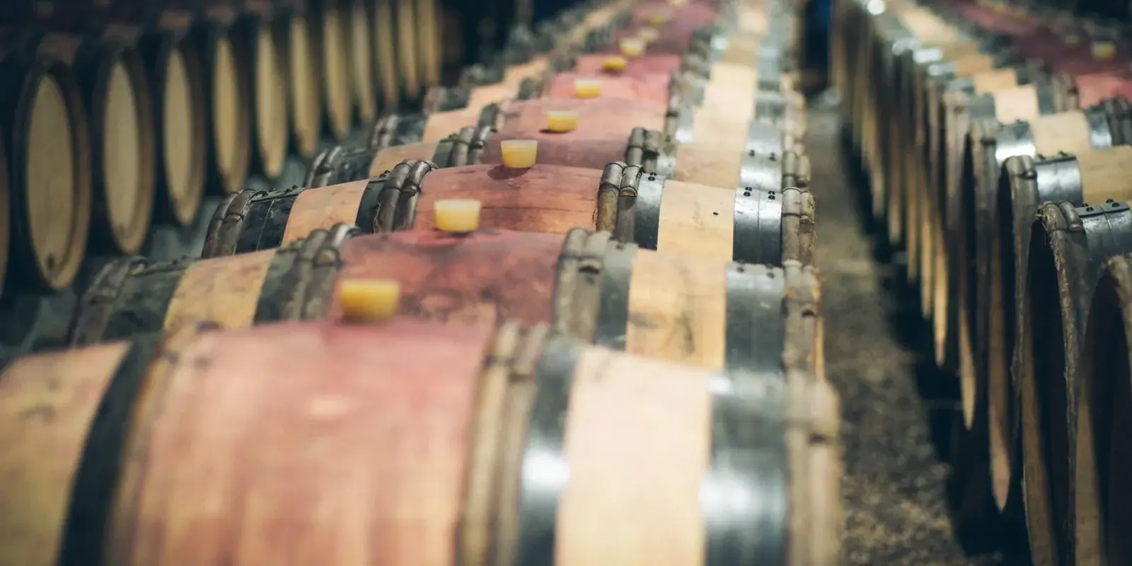 File di botti di rovere in una cantina