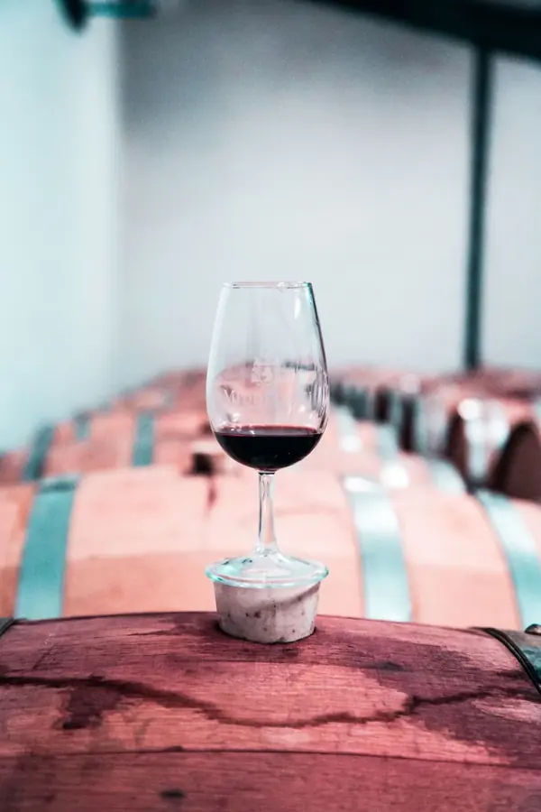 Un calice di vino rosso appoggiato su una botte in cantina