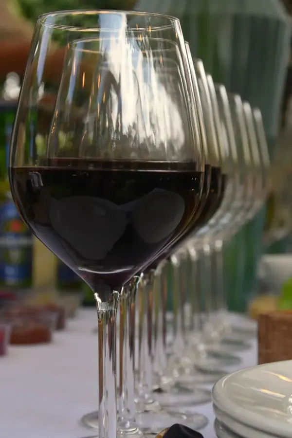 Una fila di calici di vino rosso pronti per la degustazione