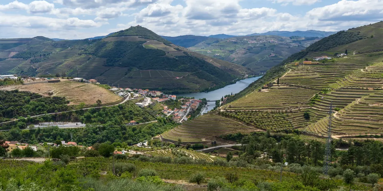 Panorama dall'alto sui terrazzamenti del Douro e sull'ansa del fiume
