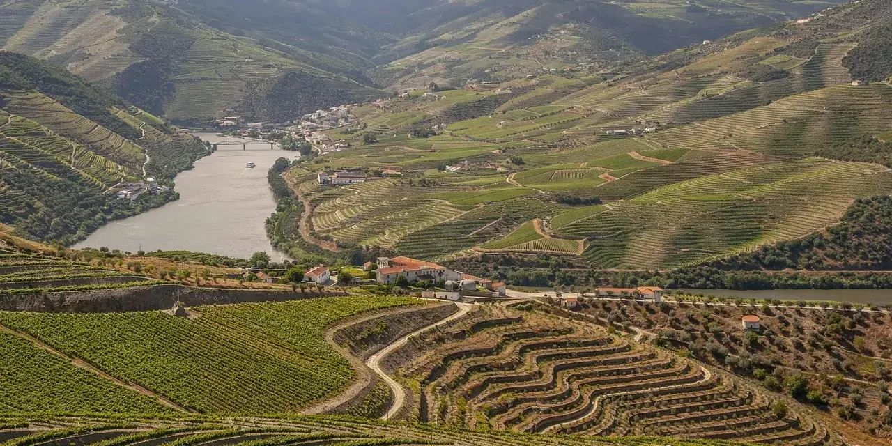 Vigne terrazzate e strade sterrate che scendono a tornanti verso il Douro