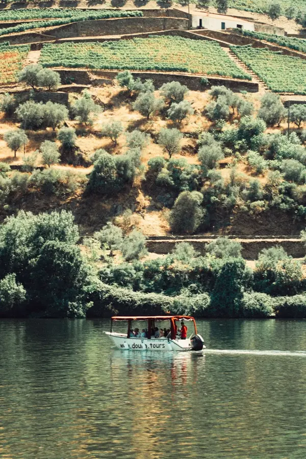 Una piccola barca scivola sul Douro sotto i terrazzamenti di ulivi e vigne