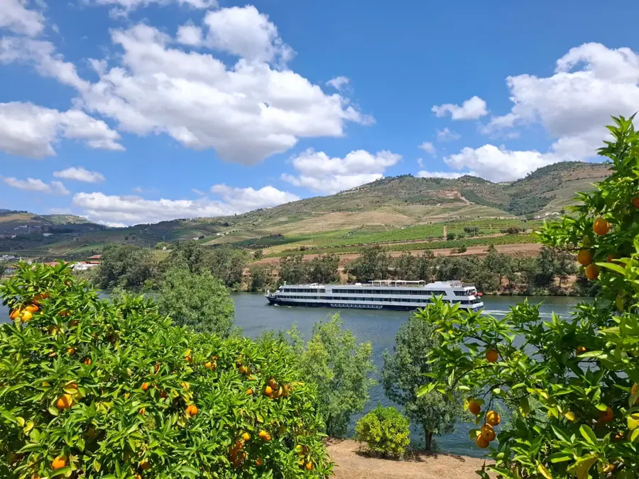 La nave sul Douro vista tra gli aranci della riva, vigne sulle colline