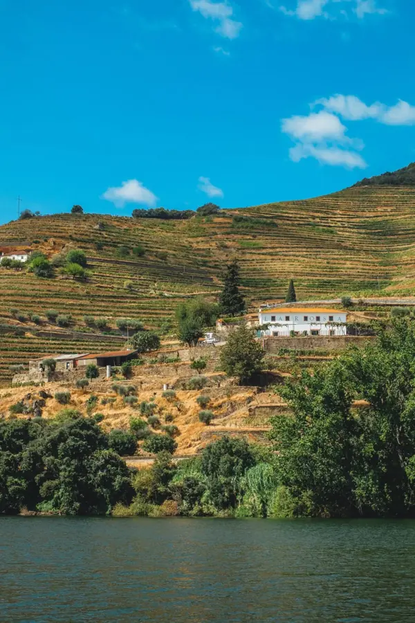 Terrazzamenti di vigne e una quinta bianca sopra le acque del Douro