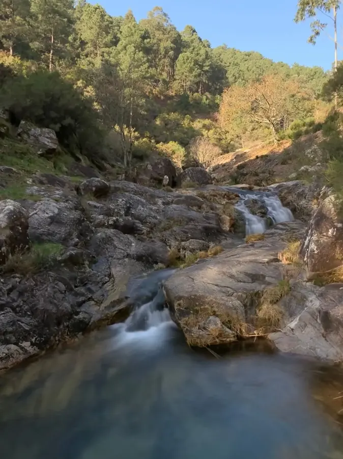 Un torrente scende a cascatelle tra rocce e pini nel parco nazionale Peneda-Gerês